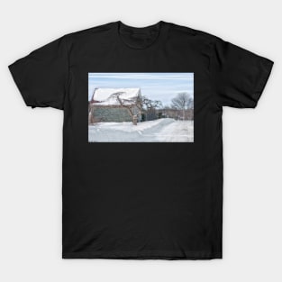 Winter Is Our Guest T-Shirt